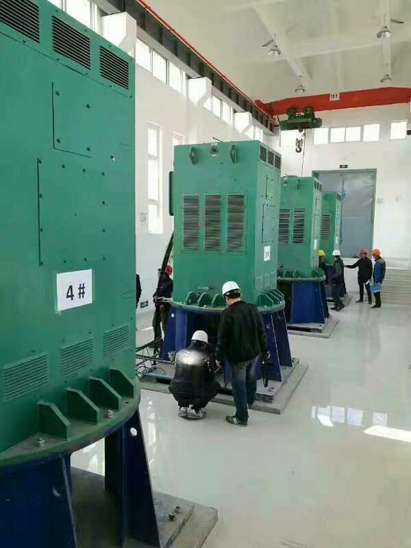 YKS5603-4某污水处理厂使用我厂的立式高压电机安装现场