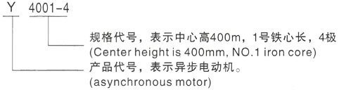 西安泰富西玛Y系列(H355-1000)高压YKS5603-4三相异步电机型号说明