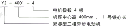 YR系列(H355-1000)高压YKS5603-4三相异步电机西安西玛电机型号说明